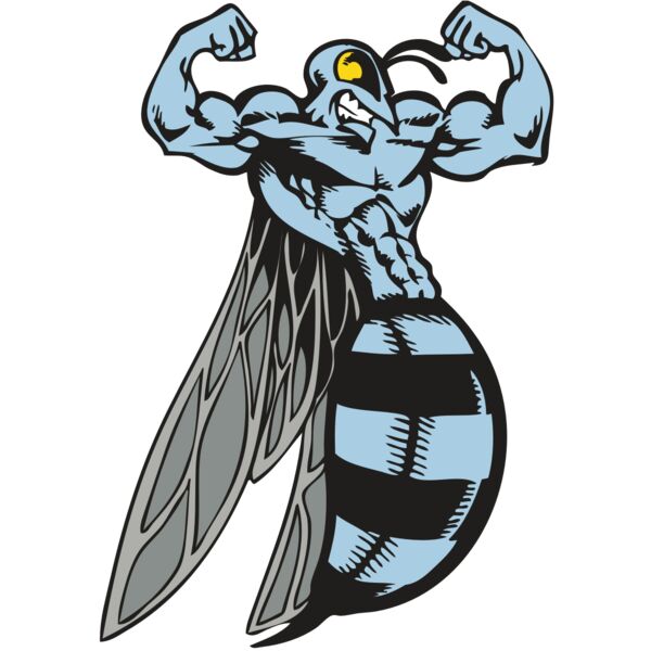 BAW BEE 08 RC Thumbnail